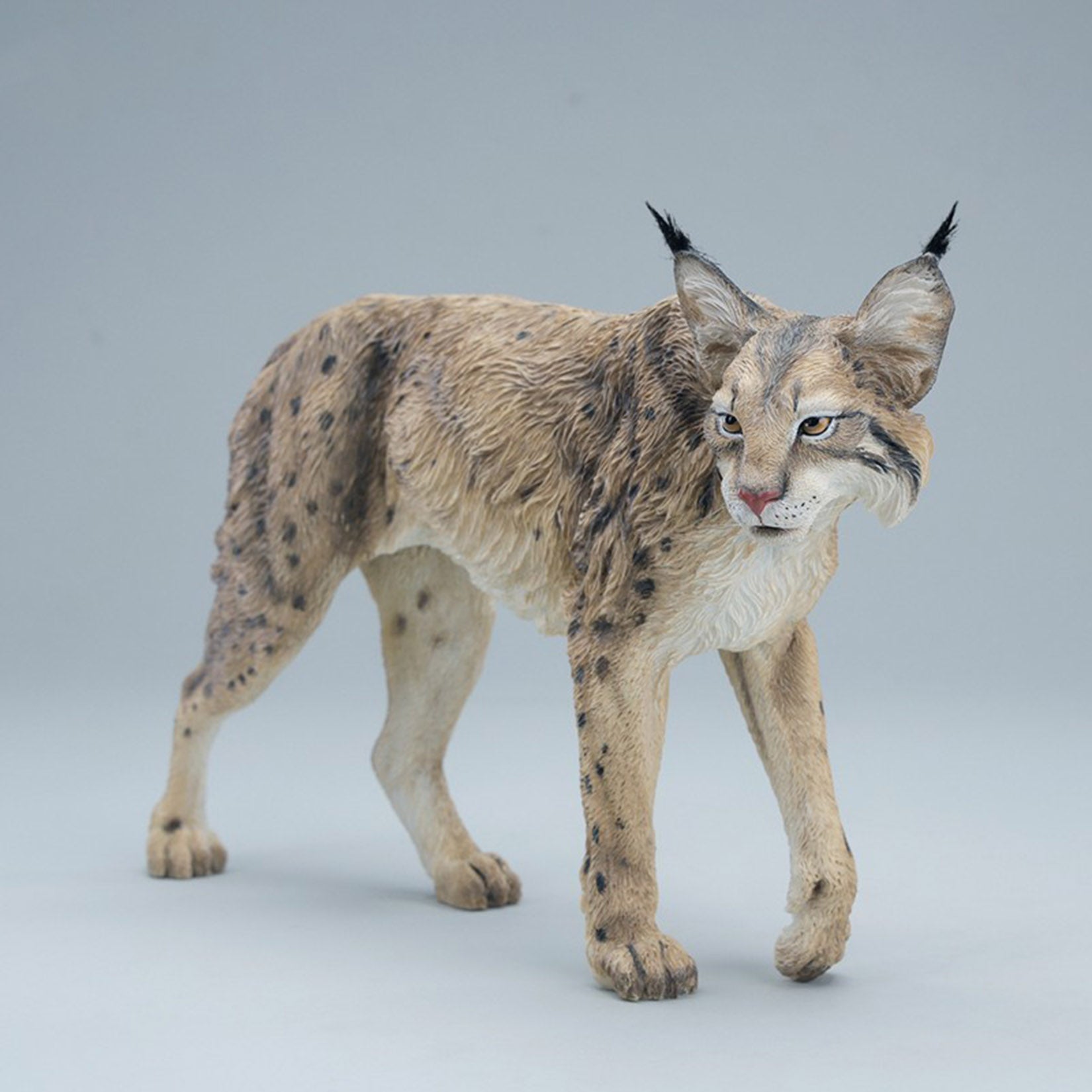JXK Studio Lynx  Model