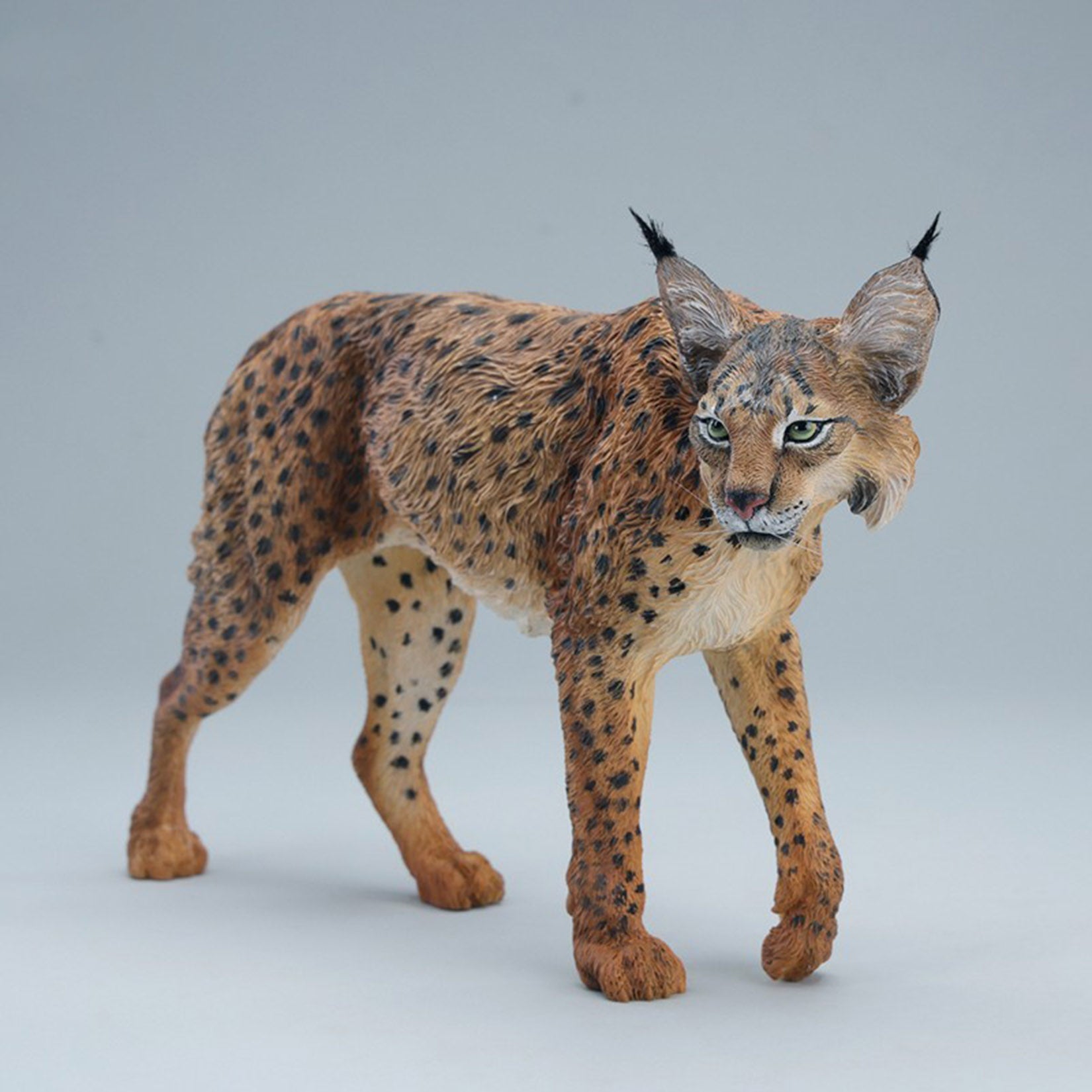 JXK Studio Lynx  Model