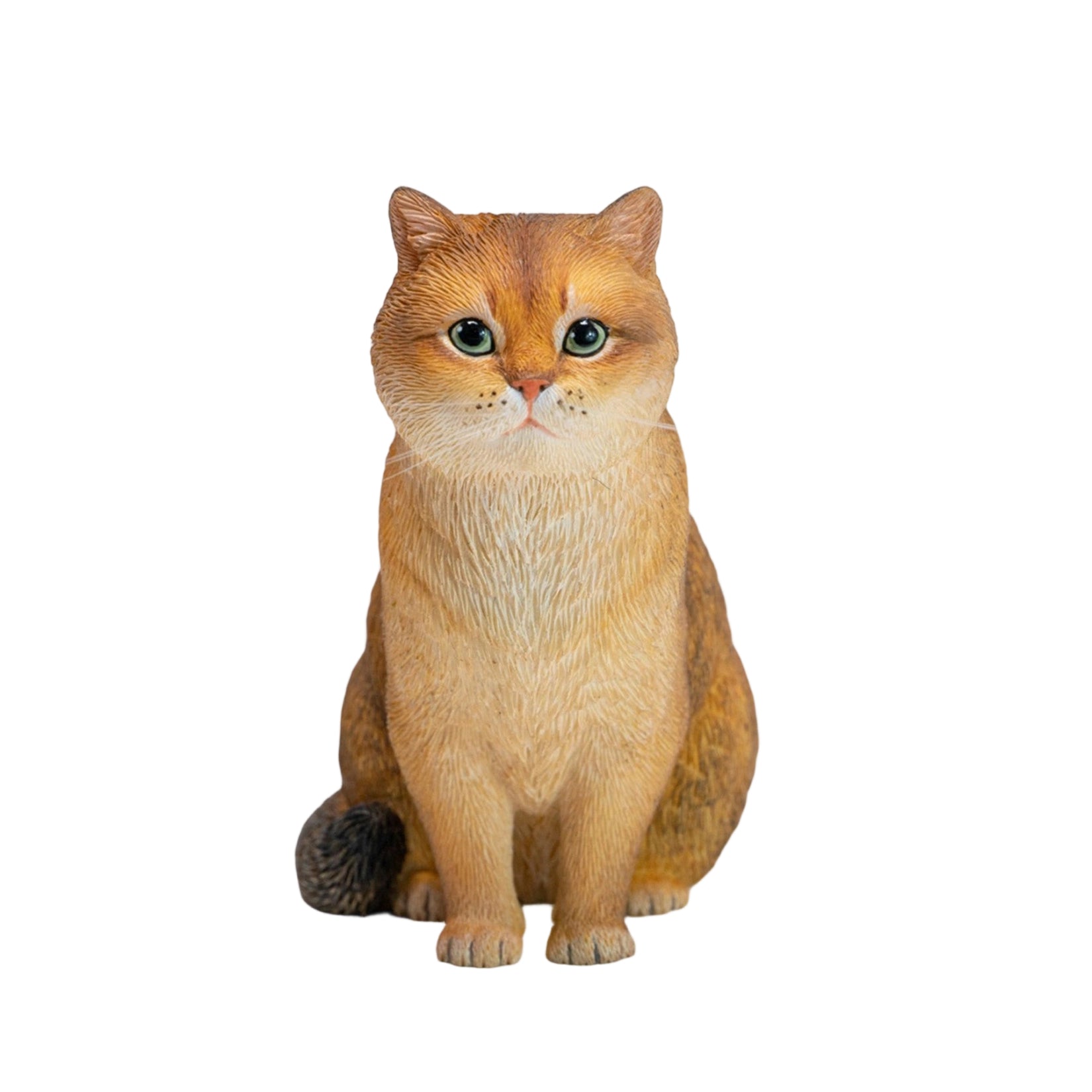 JXK Studio British Shorthair Cat Model