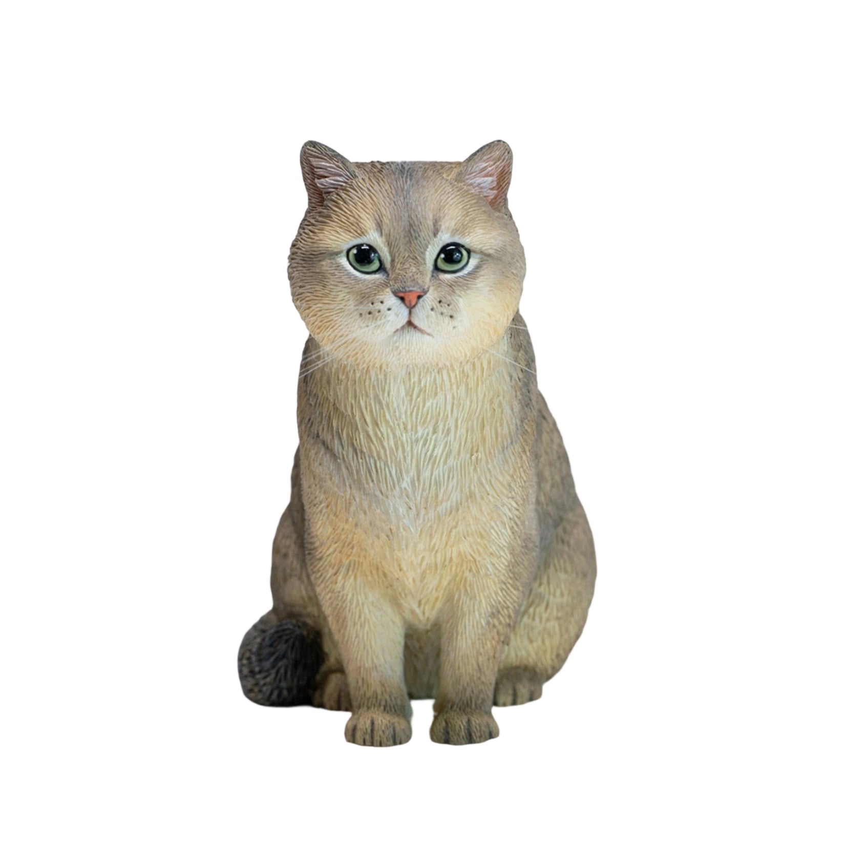 JXK Studio British Shorthair Cat Model
