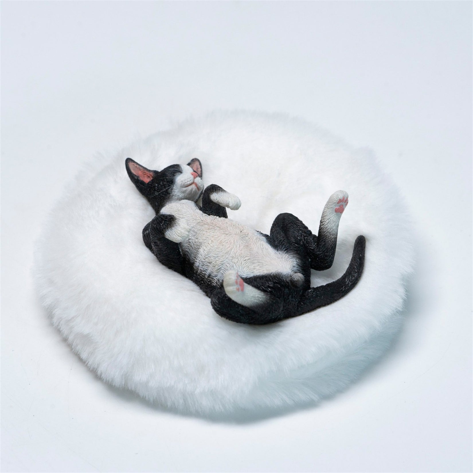 JXK Studio Resting Little Devon Rex Model