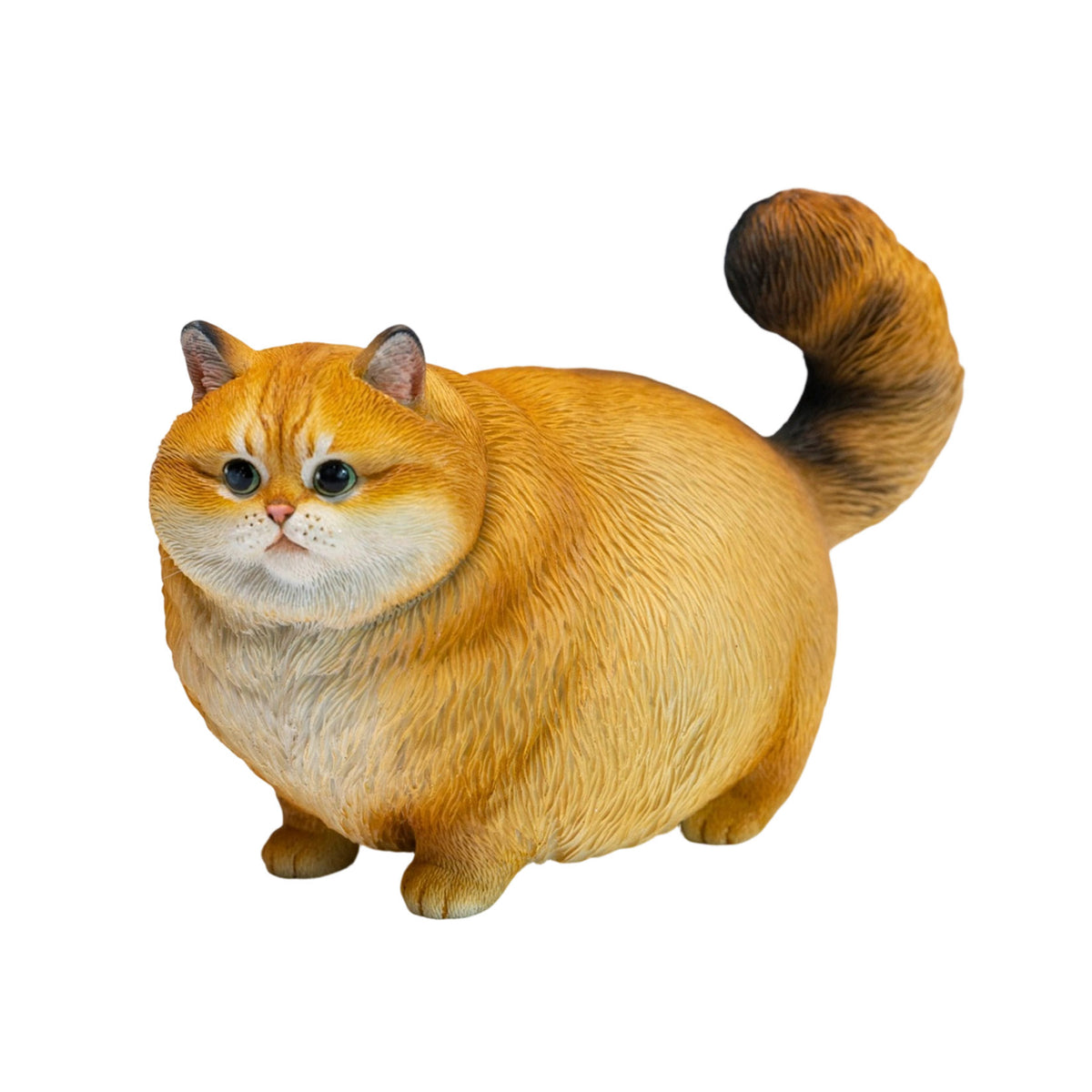 JXK Chubby Kitty Cat Model
