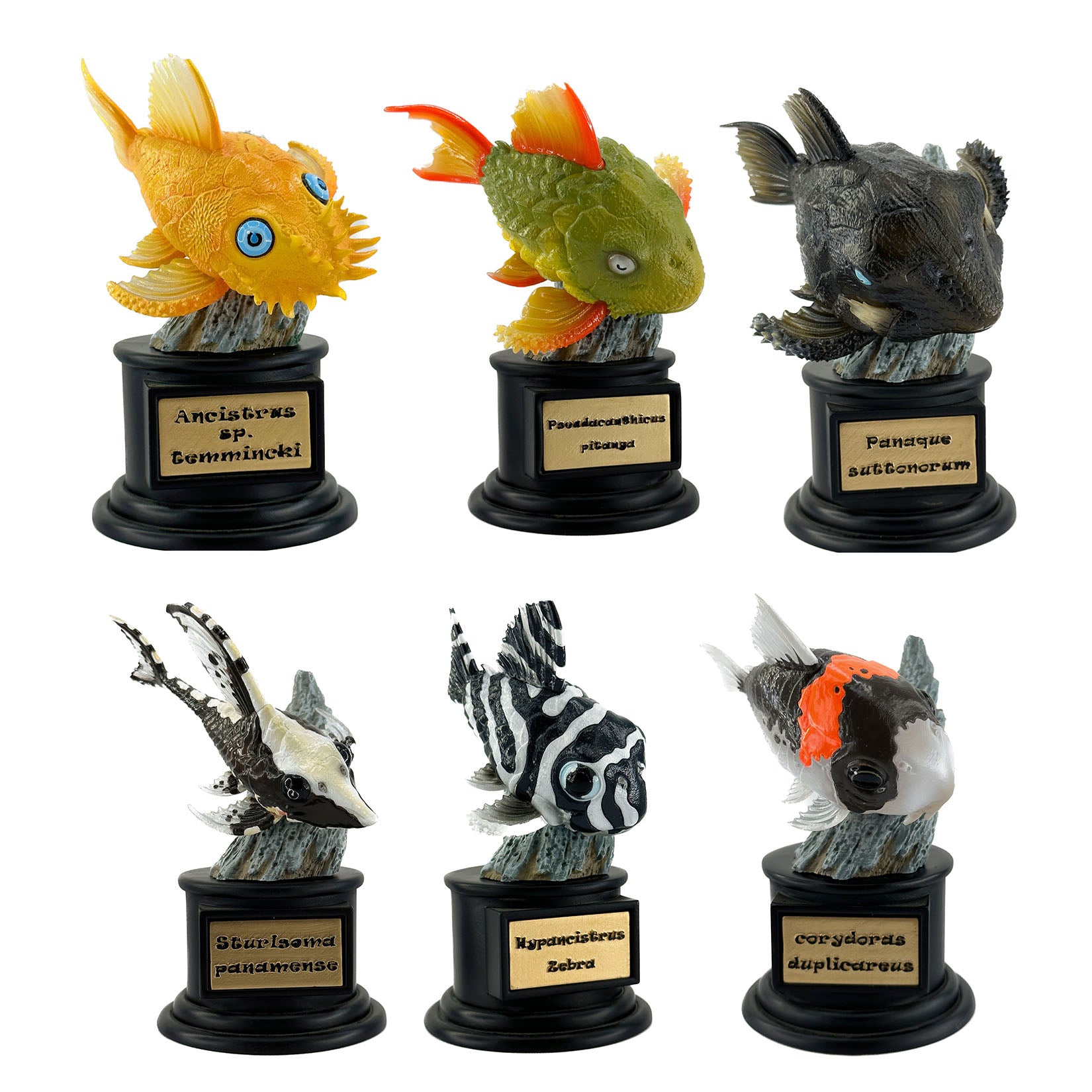 BOWUZHI Studio Fish Model