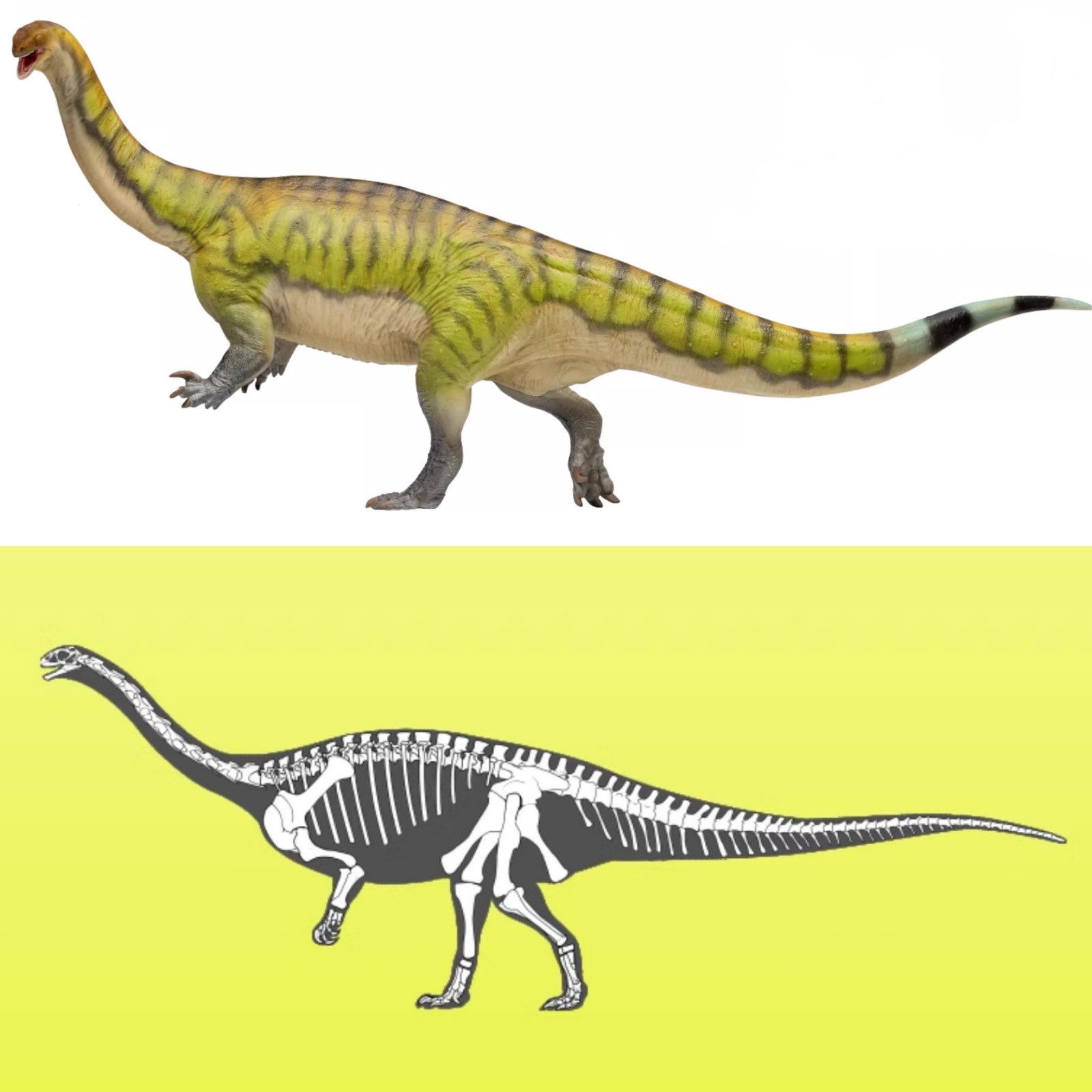 PNSO Lufengosaurus Yiran Model