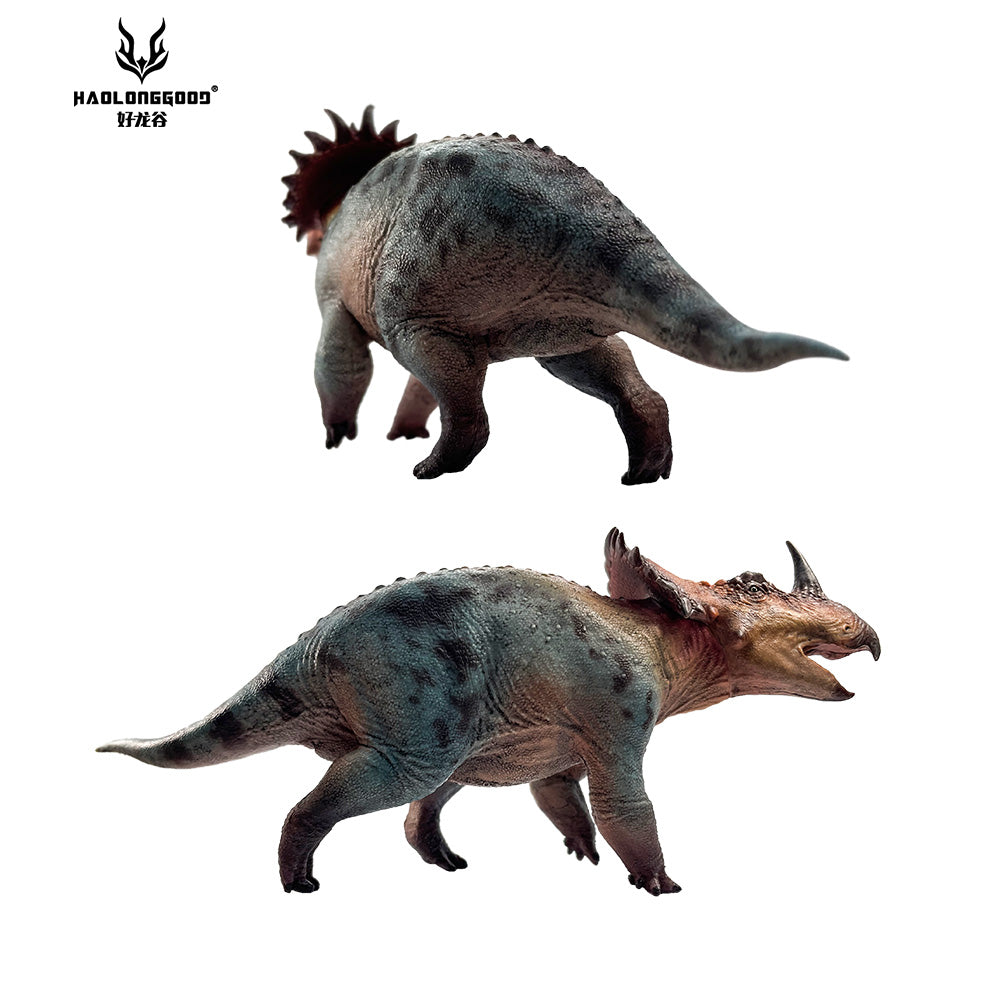 HAOLONGGOOD 1:35 Scale Sinoceratops Model