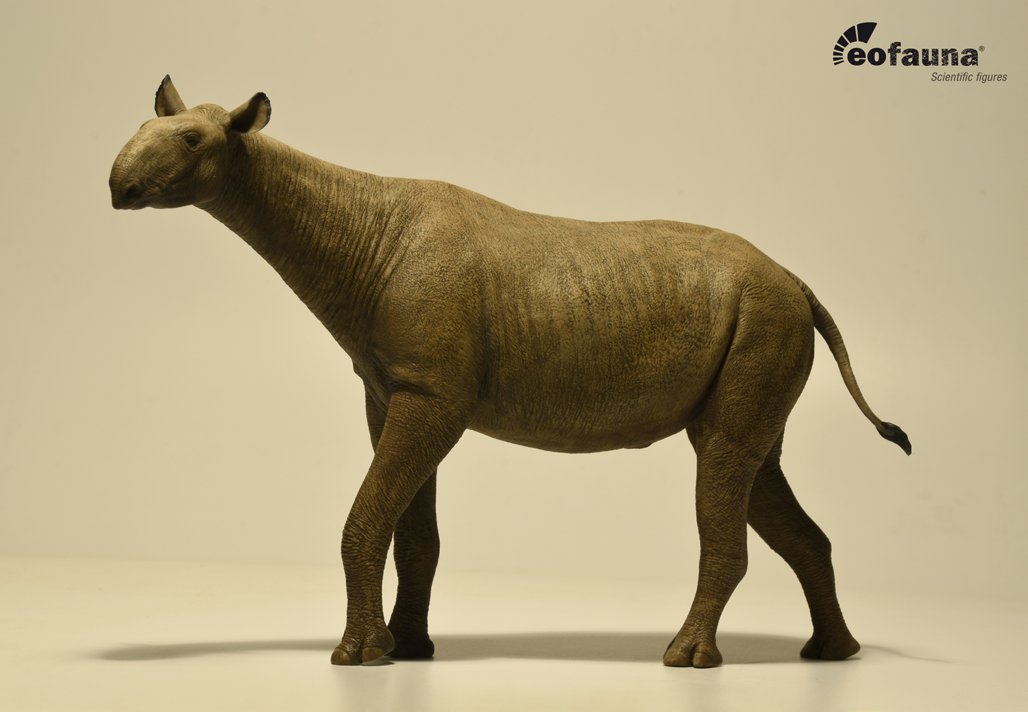 Eofauna 1:35 Scale Paraceratherium grangeri Figure