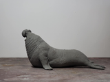TUNAN Studio 1/15~18 Scale Southern elephant-seal Model