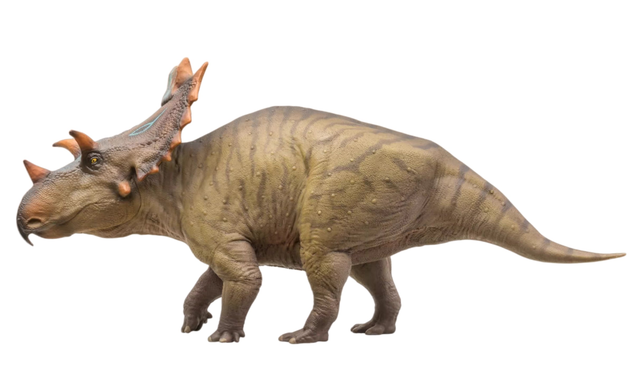 PNSO 87 Judith Spiclypeus Model