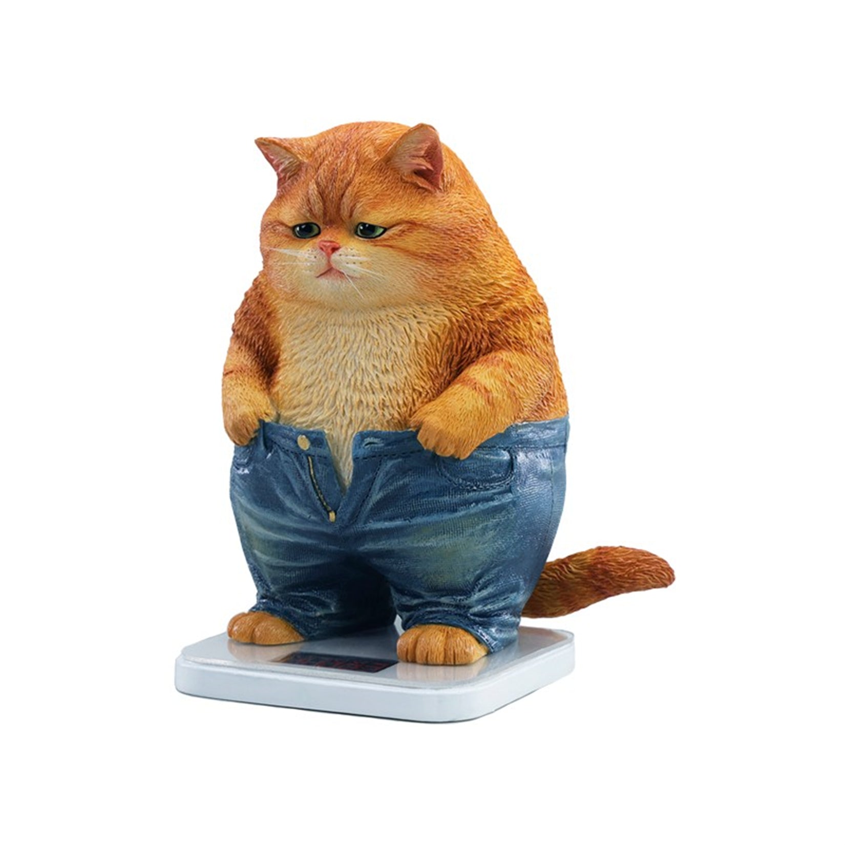 JXK Chubby Pants Cat Model