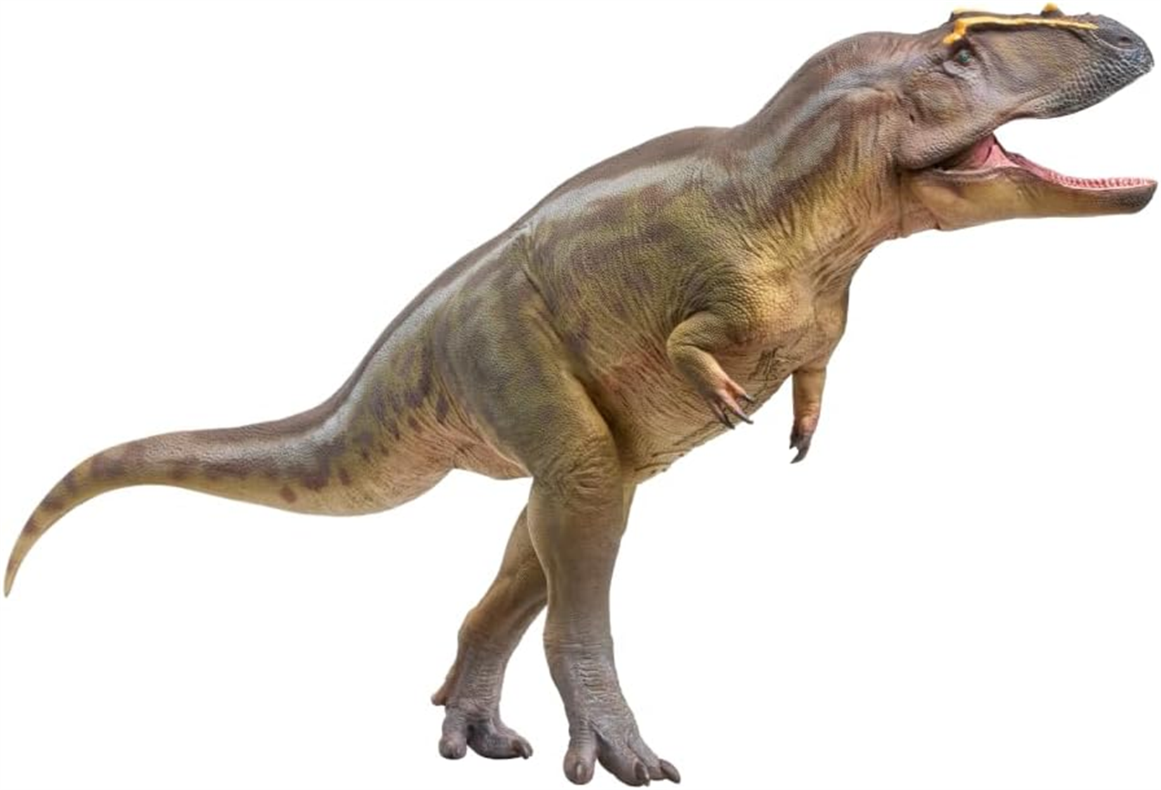 PNSO 95 Tameryraptor Mayer Model