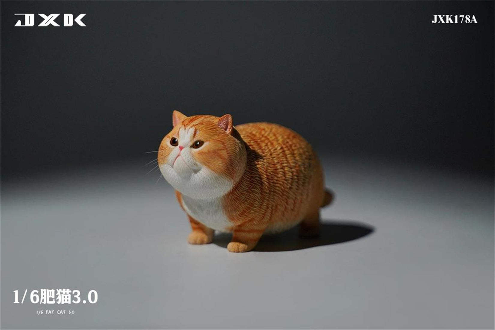 JXK 1/6 Fat Cat 3.0 Model