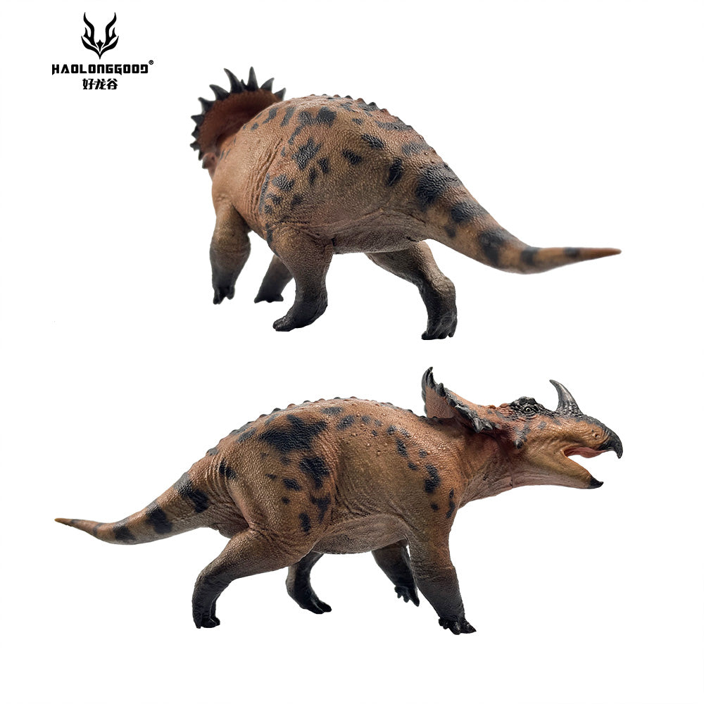 HAOLONGGOOD 1:35 Scale Sinoceratops Model