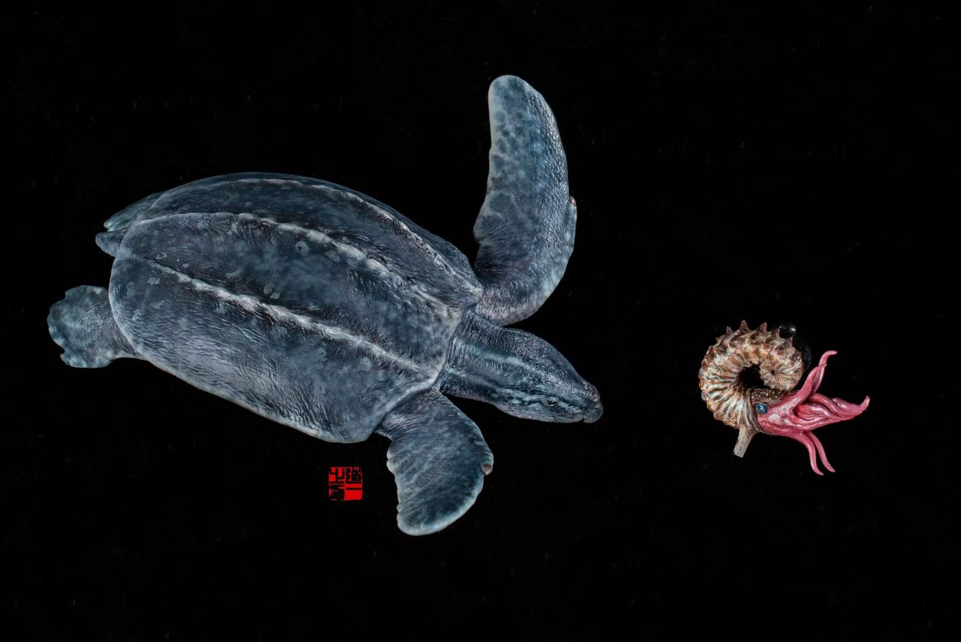 Cen DaoYi Studio 1:20 Scale Archelon ischyros Model