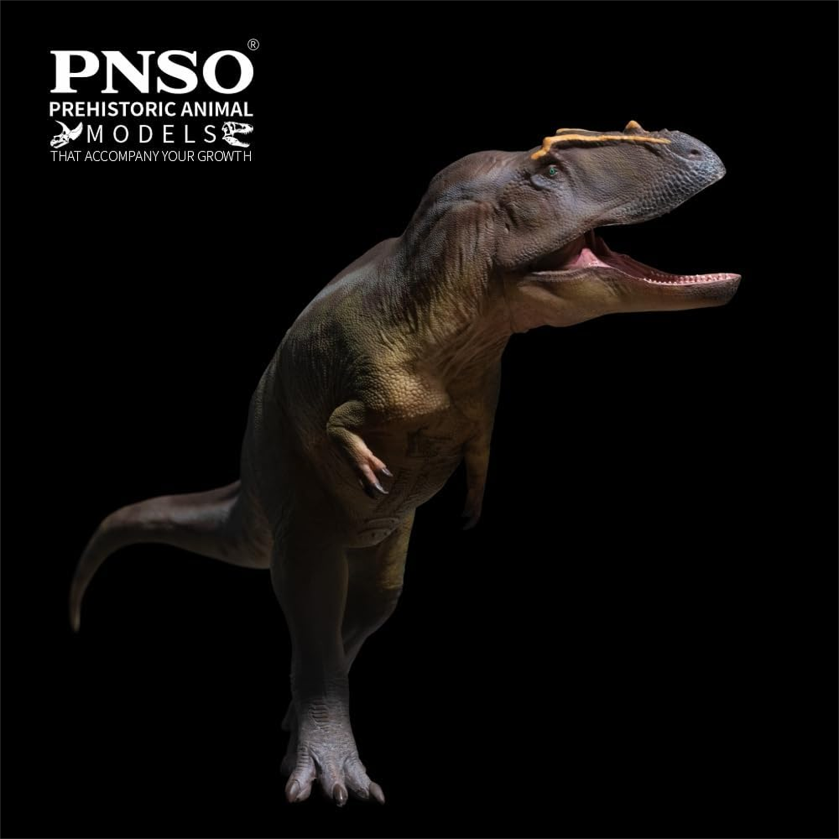 PNSO 95 Tameryraptor Mayer Model