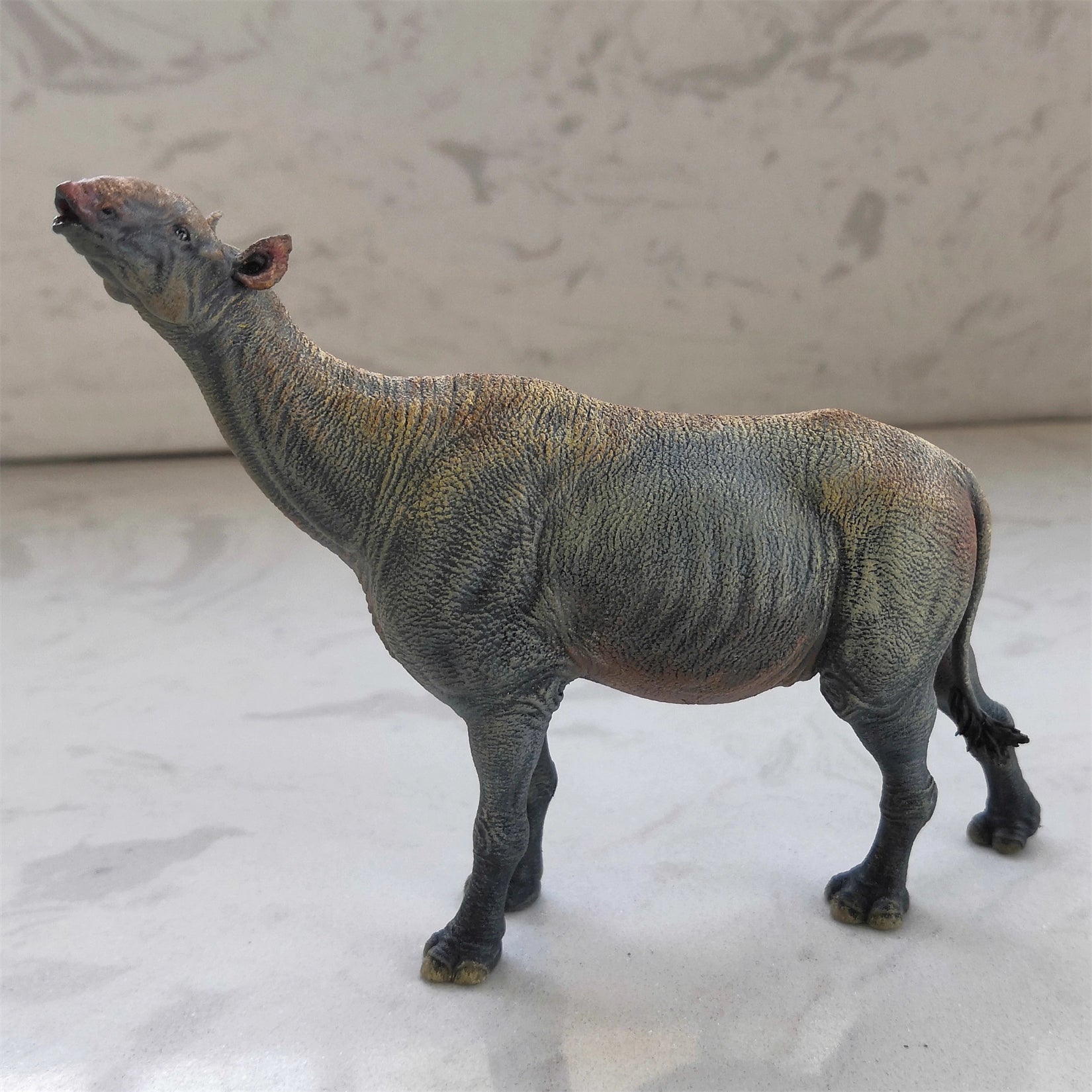 PASSION CHARGER Paraceratherium Grangeri Model