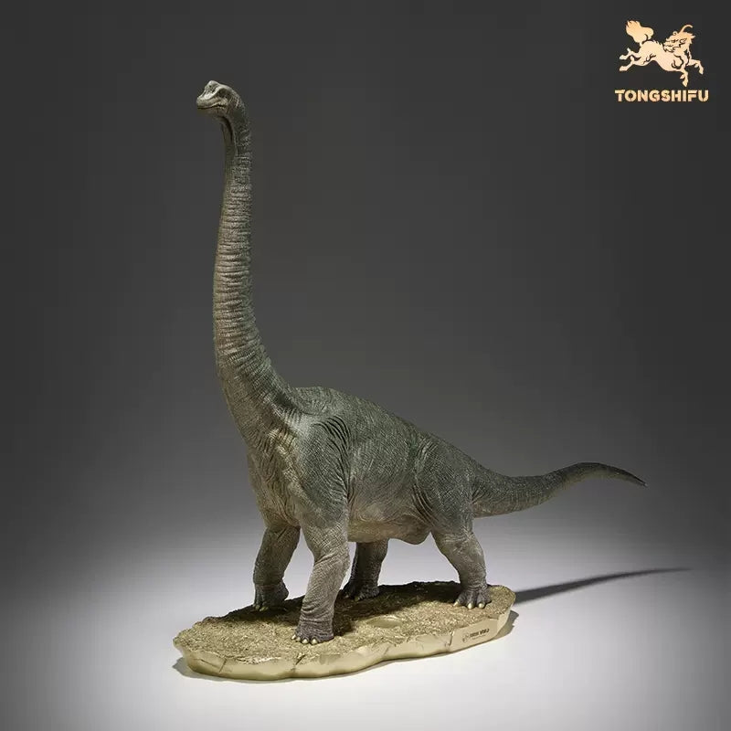 TONGSHIFU Brachiosaurus Model – Lana Time Shop