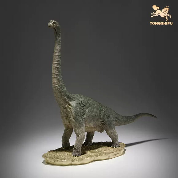 TONGSHIFU Brachiosaurus Model