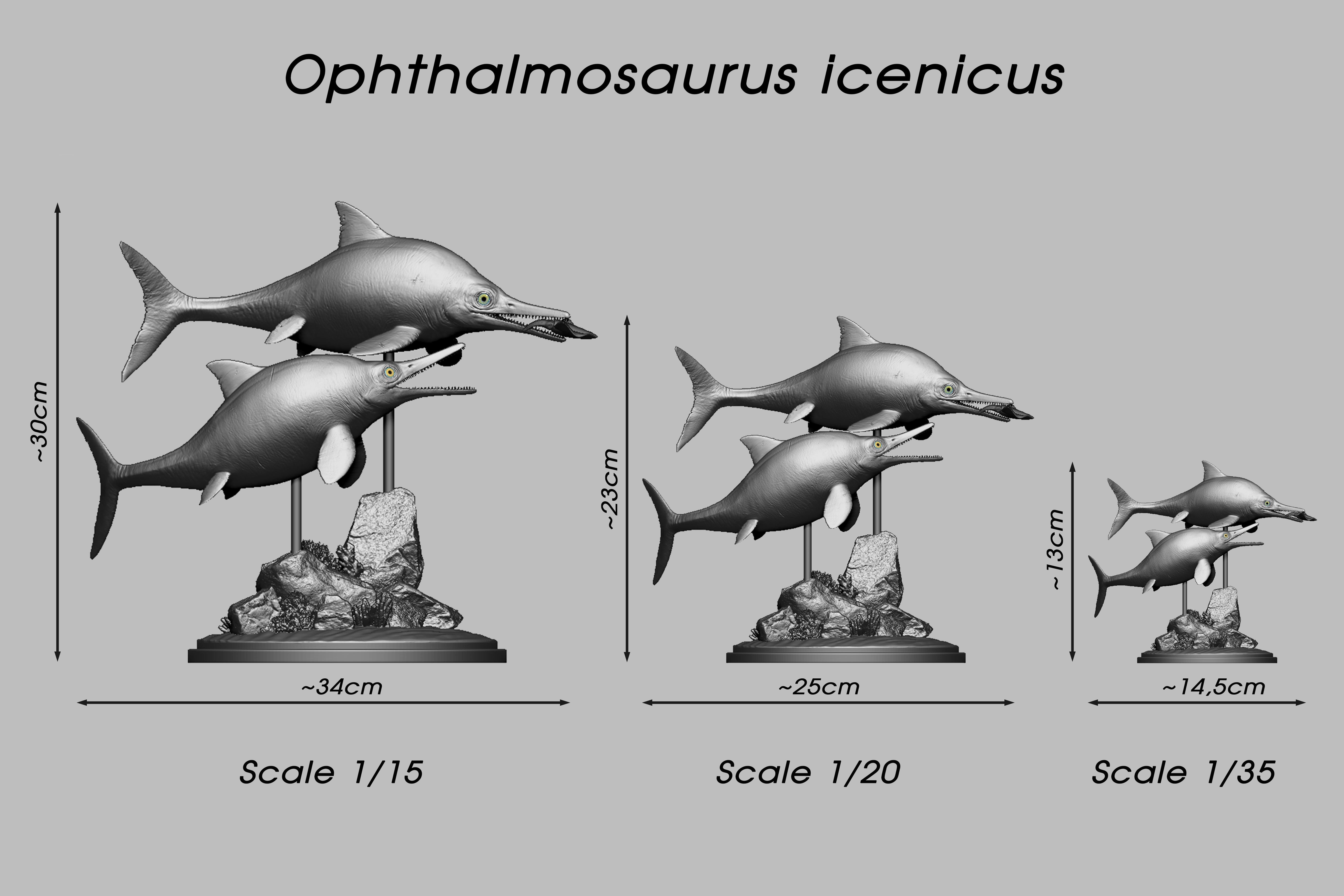 De CLAY Studio Ophthalmosaurus icenicus Model