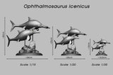 De CLAY Studio Ophthalmosaurus icenicus Model