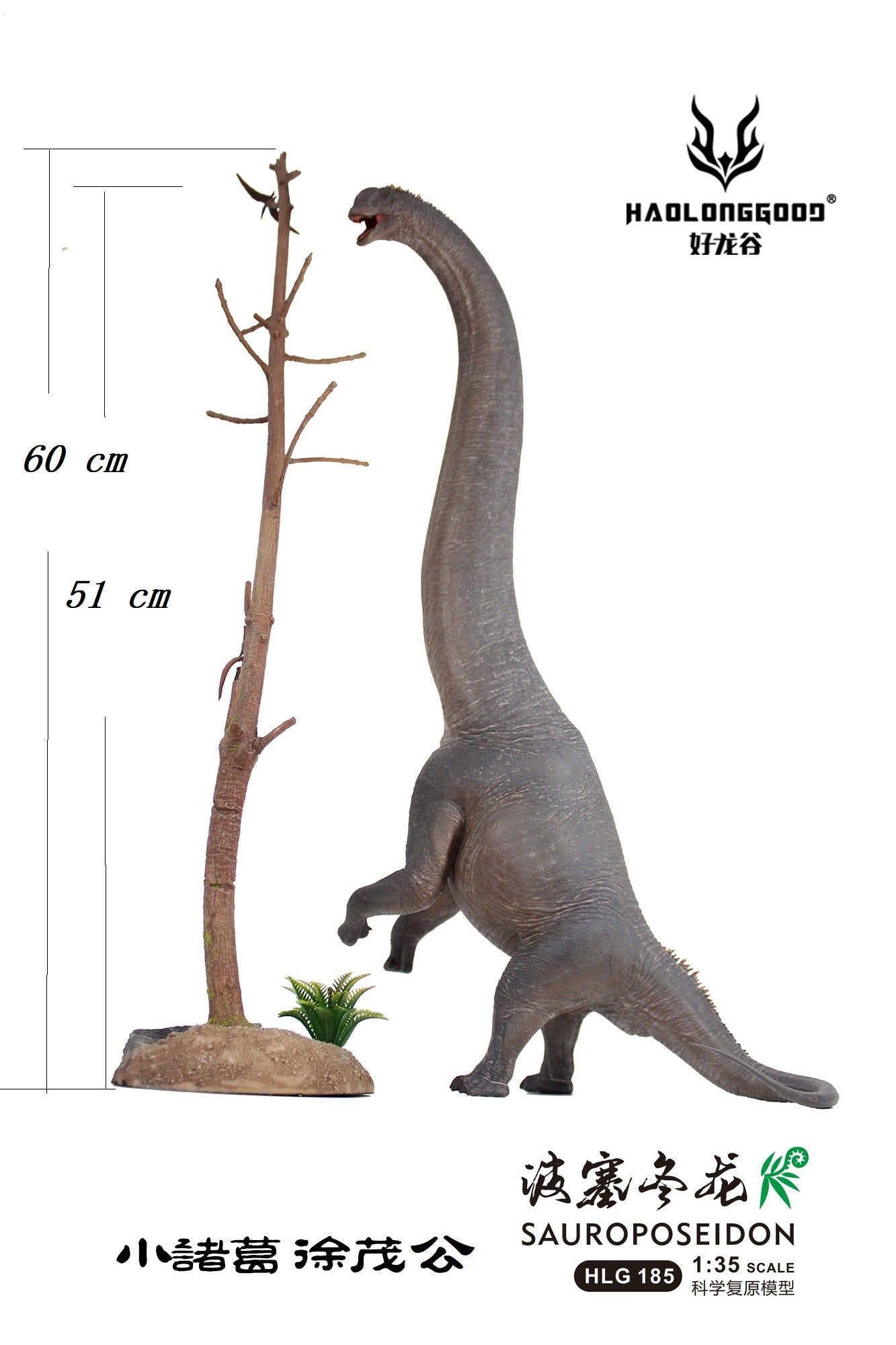 HAOLONGGOOD 1:35 Scale Sauroposeidon Model