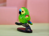 CG Parrot Blind Box 03 Series Model