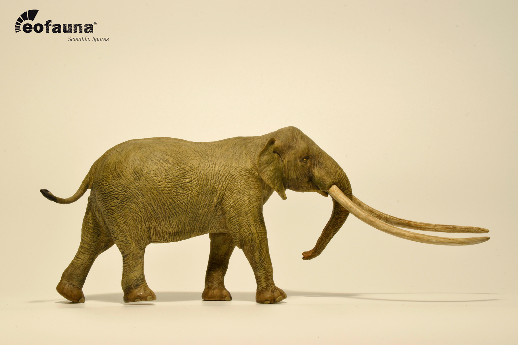 Eofauna 1:35 Scale Anancus arvernensis Figure