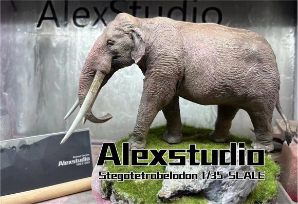 Alex Studio 1/35 Scale Stegotetrabelodon Model