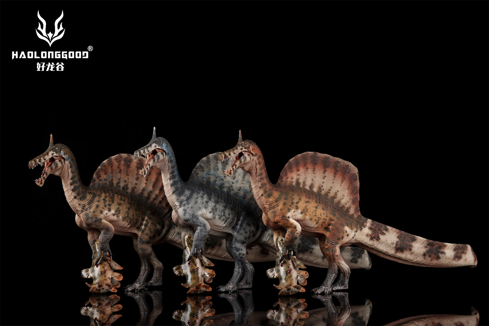 HAOLONGGOOD 1:35 Scale Spinosaurus mirabilis Model