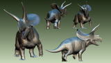 De CLAY Studio Torosaurus latus 2.0 Model