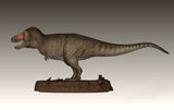 TY Dinosaur Studio 1/35 Scale Tyrannosaurus Rex Model