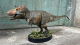 TY Dinosaur Studio 1/35 Scale Tyrannosaurus Rex Model