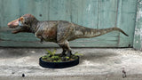 TY Dinosaur Studio 1/35 Scale Tyrannosaurus Rex Model