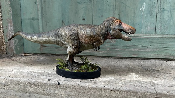 TY Dinosaur Studio 1/35 Scale Tyrannosaurus Rex Model