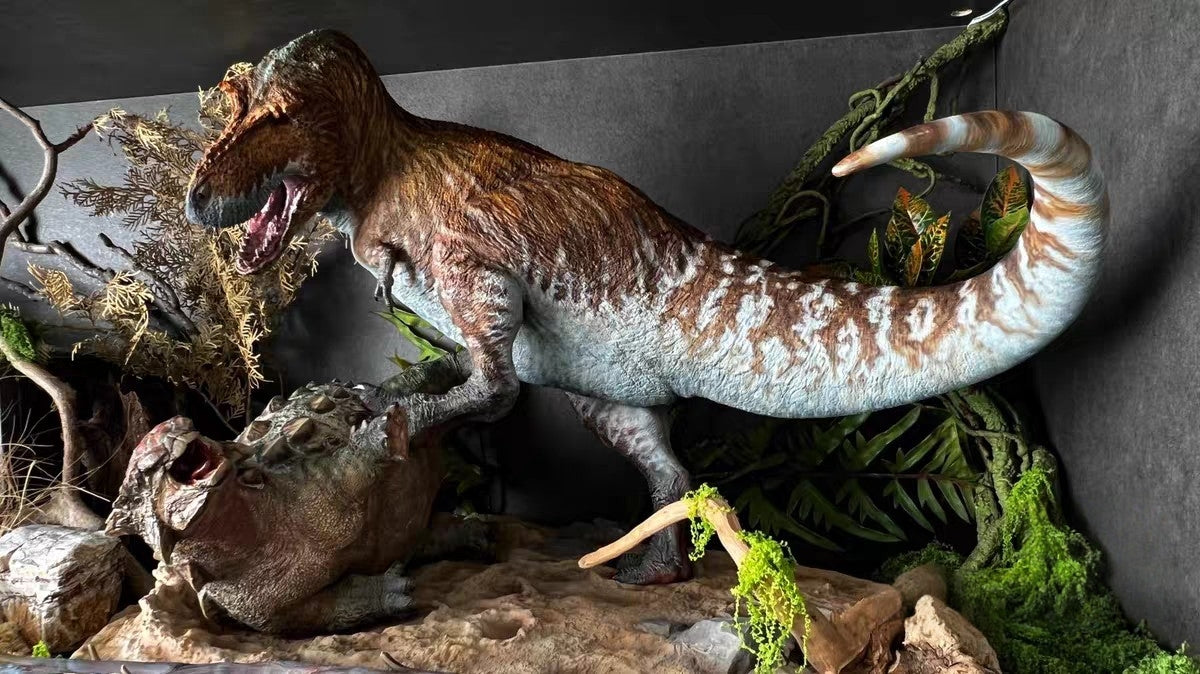 SHOWANNA 1:15 Scale Tyrannosaurus Rex VS Ankylosaurus SCENE STATUE USED