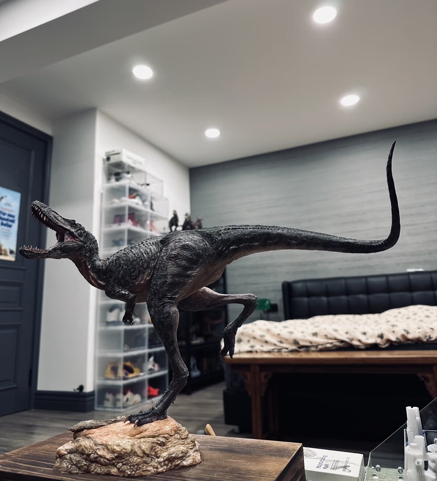 Cen DaoYi Studio Nanotyrannus*2 + the blue Gorgosaurus Model