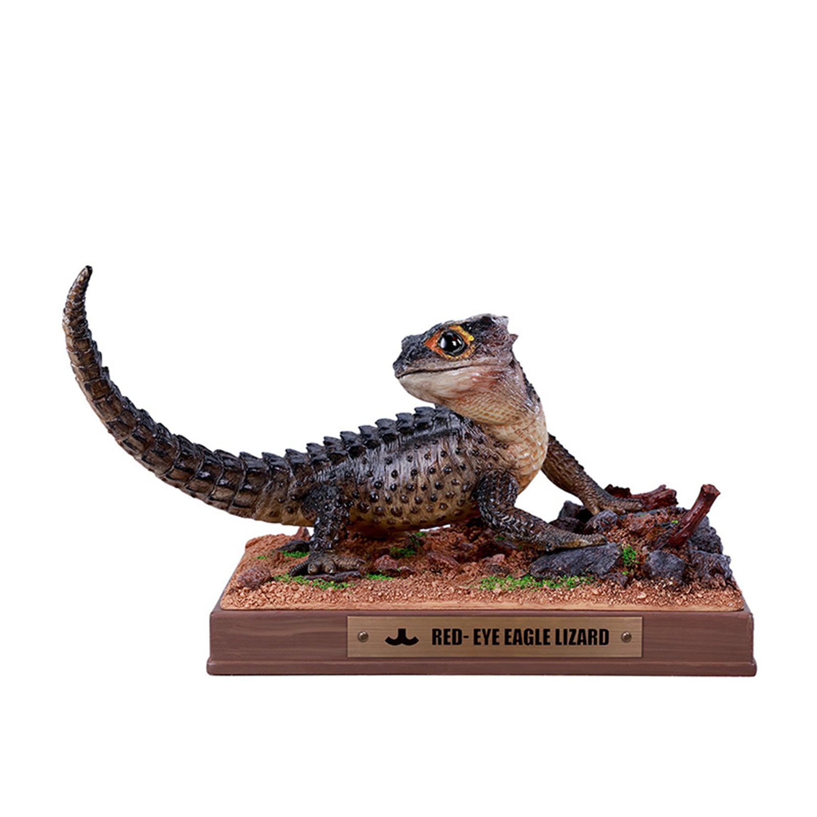 JXK Studio Tribolonotus gracilis Model