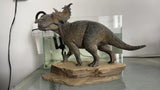 Aokhan 1:15 Scale Pachyrhinosaurus Scene Statue