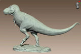 Sumeru Studio 1/35 Scale Tyrannosaurus Rex "Reg" Model