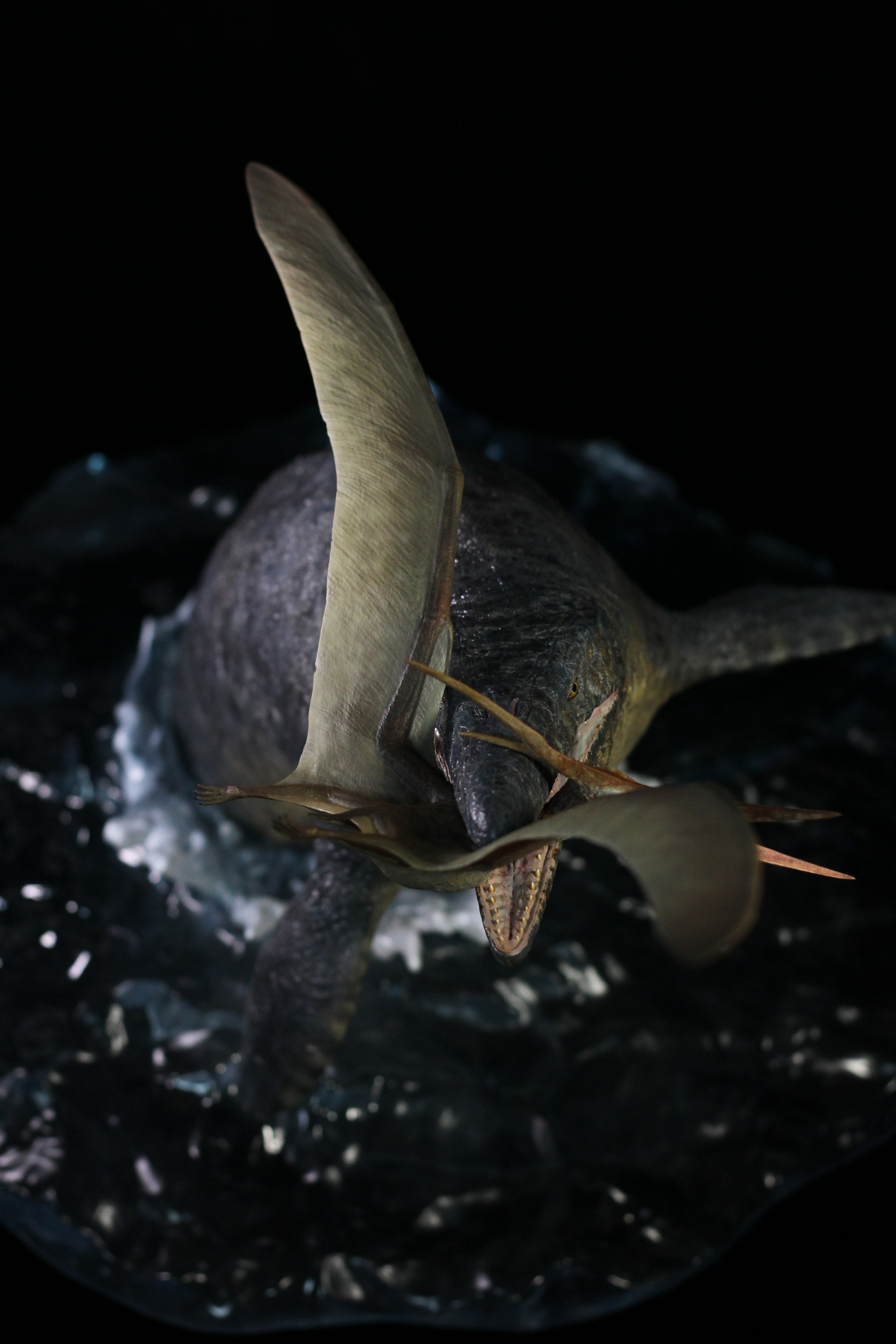 SHOWANNA 1:15 Scale Mosasaurus hoffmanni preying on Barbaridactylus Scene Statue