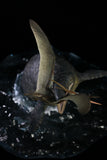 SHOWANNA 1:15 Scale Mosasaurus hoffmanni preying on Barbaridactylus Scene Statue