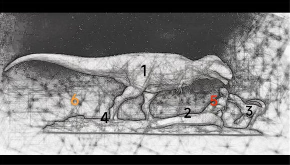 SHOWANNA 1:15 Scale Mapusaurus SCENE STATUE