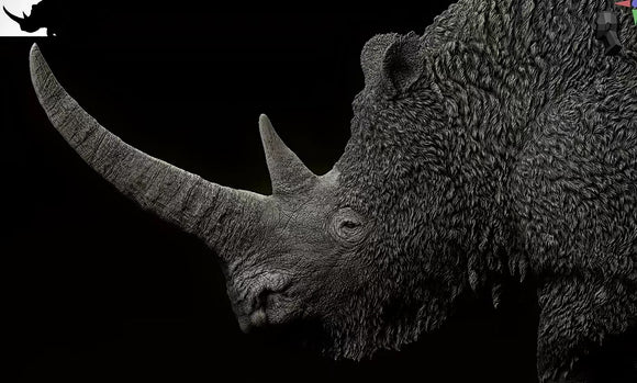 Sumeru Studio Woolly Rhinoceros Model