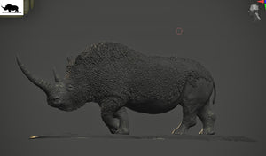 Sumeru Studio Woolly Rhinoceros Model