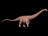 ZEE STUDIO Supersaurus vivianae Model