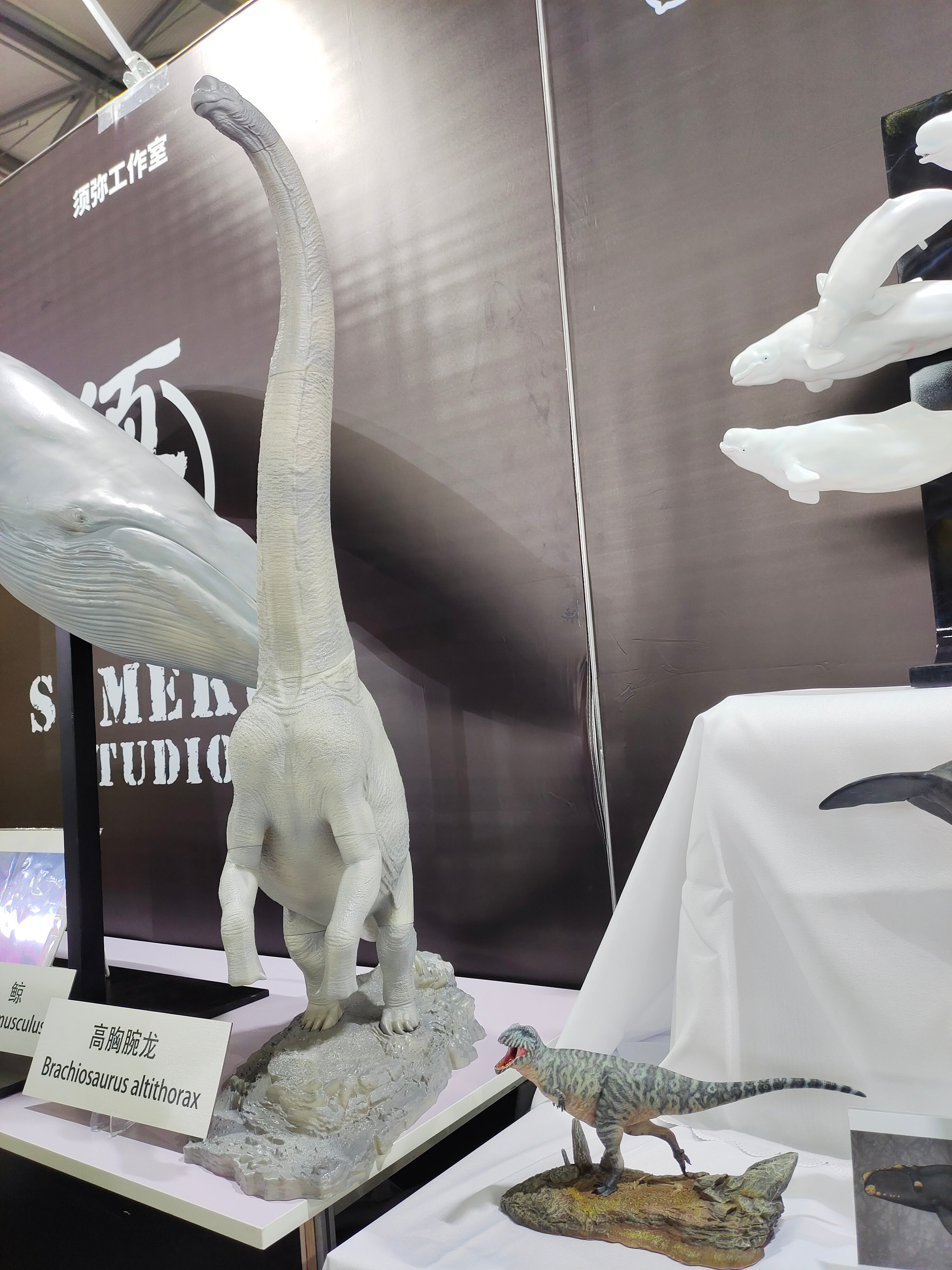 Sumeru Studio 1/18 Scale Brachiosaurus altithorax Special Version Model