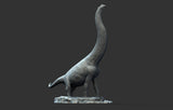 Sumeru Studio 1/35 Scale Brachiosaurus altithorax Model