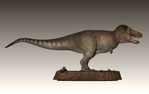 TY Dinosaur Studio 1/35 Scale Tyrannosaurus Rex Model