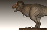 TY Dinosaur Studio 1/35 Scale Tyrannosaurus Rex Model