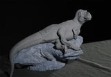 Aokhan Studio Zhuchengtyrannus Scene Model