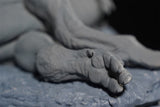 Aokhan Studio Zhuchengtyrannus Scene Model